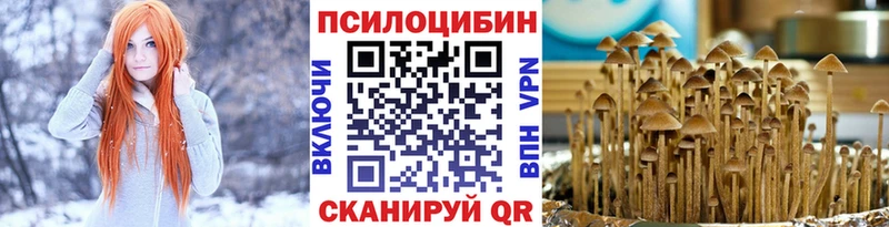 Псилоцибиновые грибы ЛСД  купить  цена  Сасово 